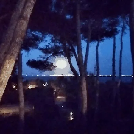 Monolocale 3 Posti Letto Con Giardino Petfriendly Apartment *